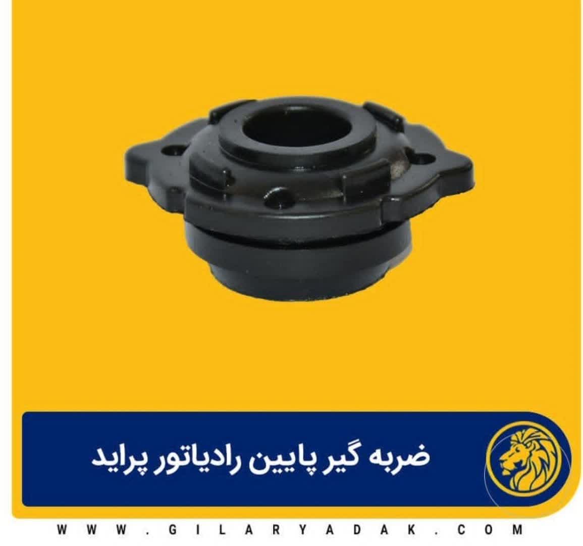 لاستیک پایین رادیاتور پراید 2025024